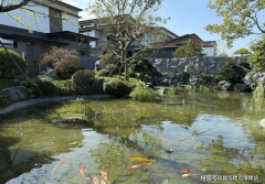 从精美的拆修细节到全体的空